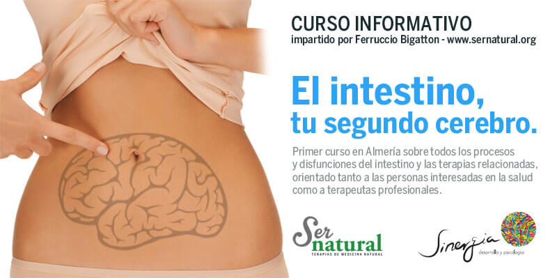 Curso de medicina ortomolecular en Almería - El intestino